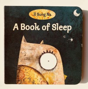 A Book Of Sleep